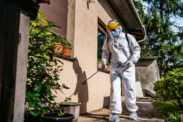Trusted Tano Road, NM Pest Control Experts