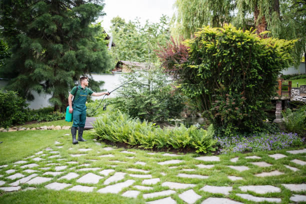 Best Ant Control Services  in Tano Road, NM