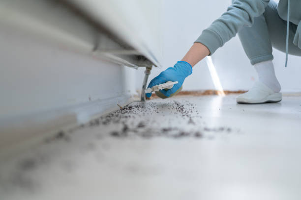 Best Emergency Pest Control  in Tano Road, NM