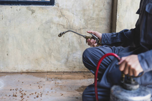 Best Pest Prevention Services  in Tano Road, NM